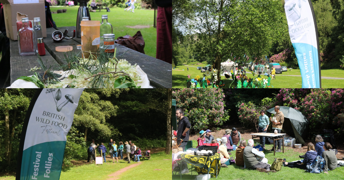 British Wild Food Festival